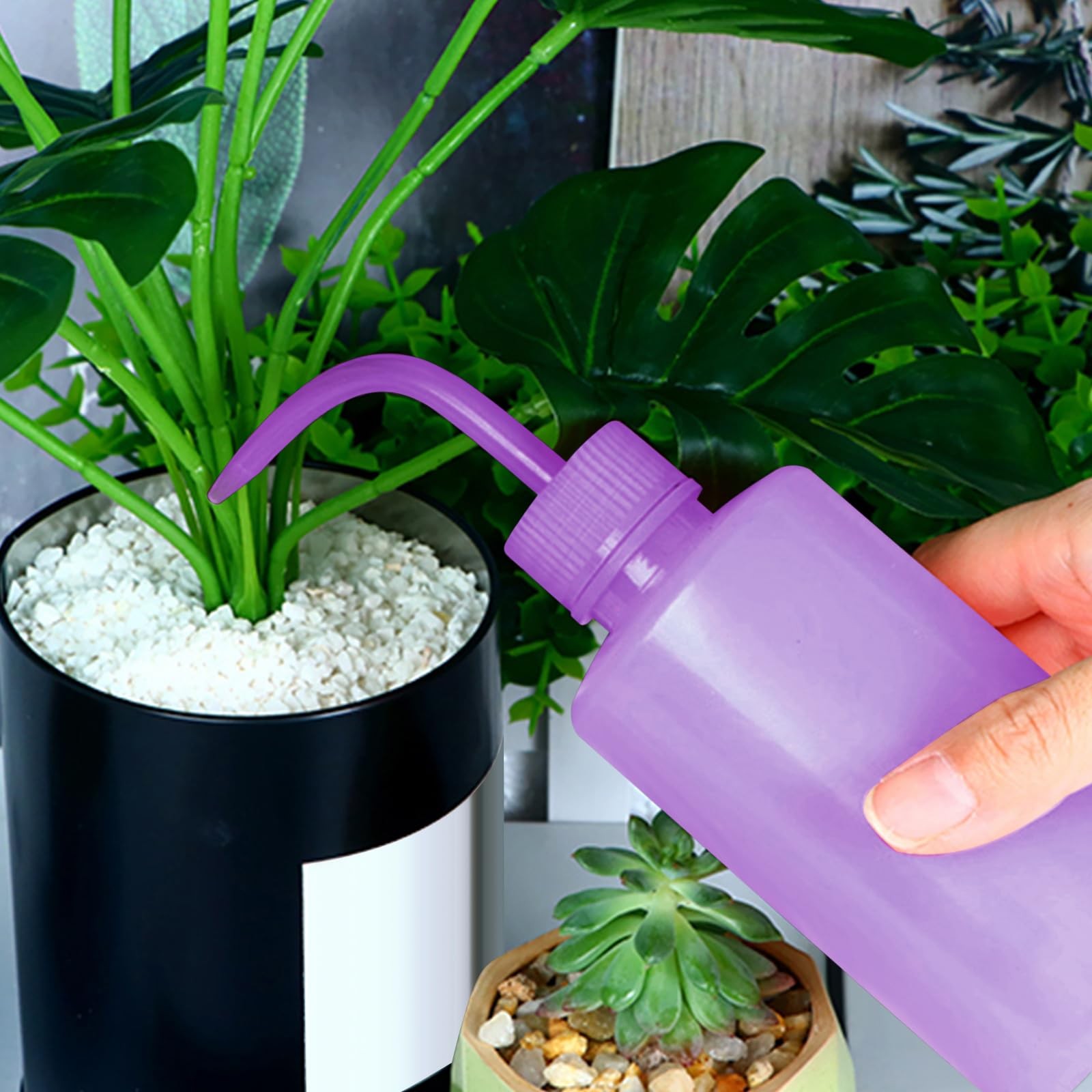 DERSTRA Wash Bottles – 2pcs 250ml Safety Watering Tools, Economy Purple