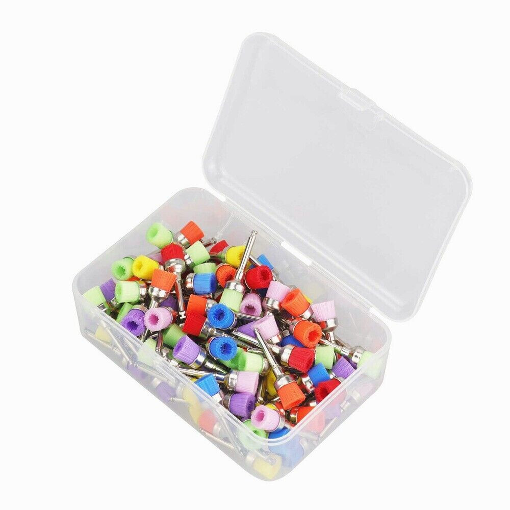 Dental Nylon Latch Flat Polishing Prophy Bowl Type Brush New Mixed Color 1 BOX
