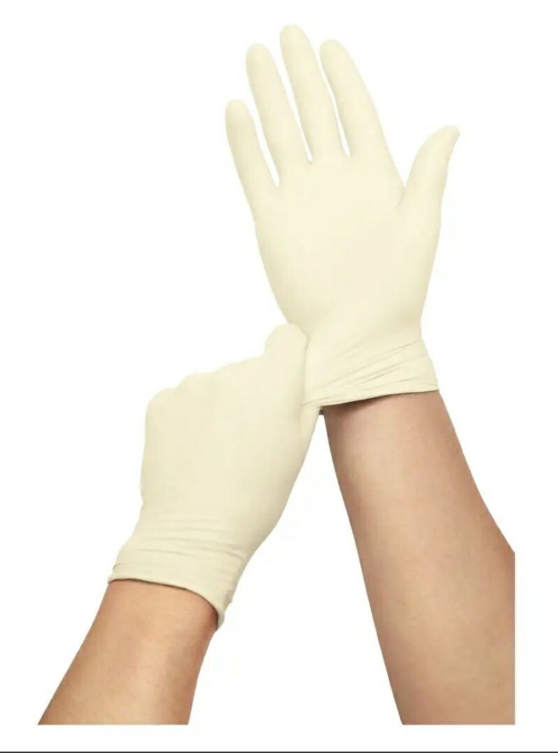 Procure Stretch Vinyl Exam GlovesPowder Free Size M