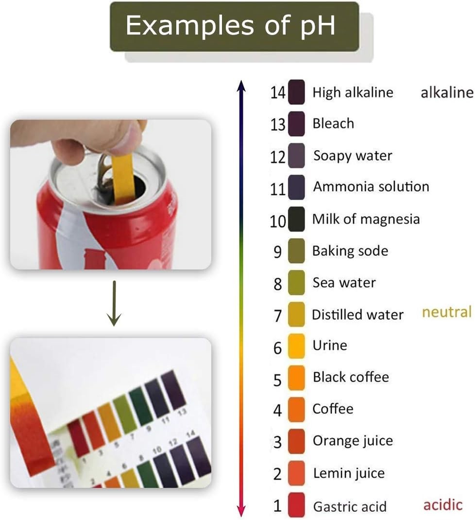400Pcs pH Indicator Test Strips 1-14 Laboratory Paper Litmus Tester Urine Saliva