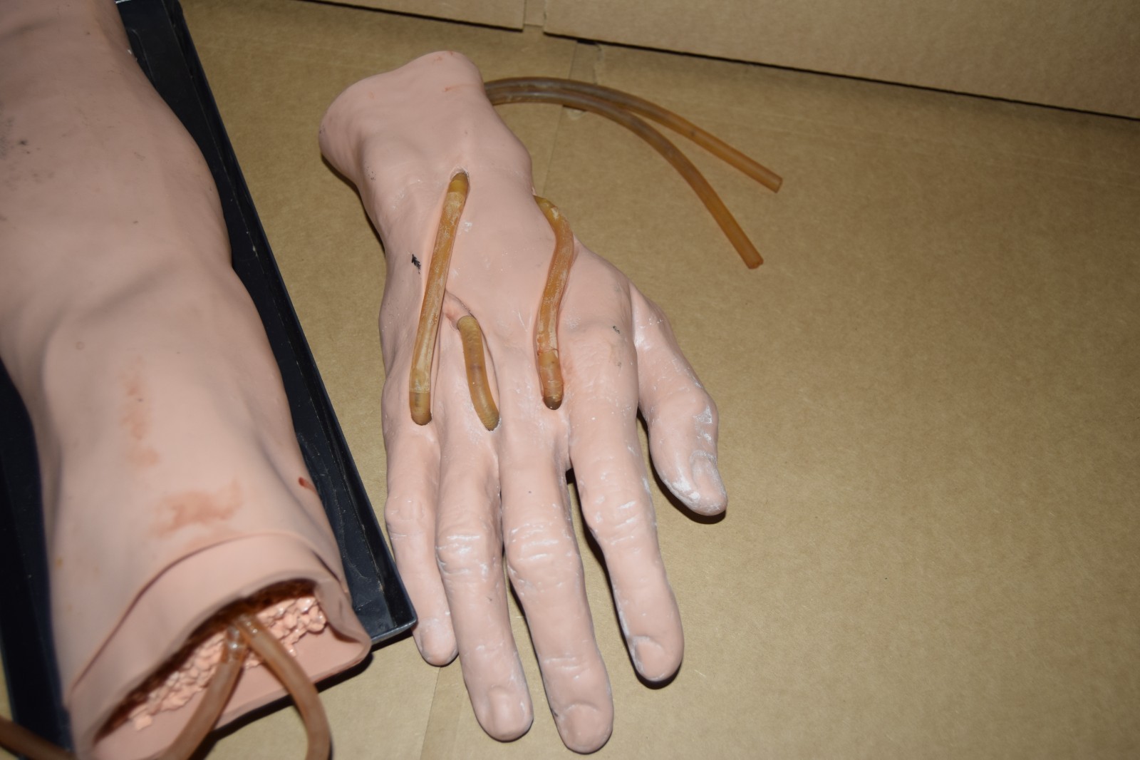 Phlebotomy / Venipuncture Practice Training Arm Hand Model Nurses Techs EMT’s