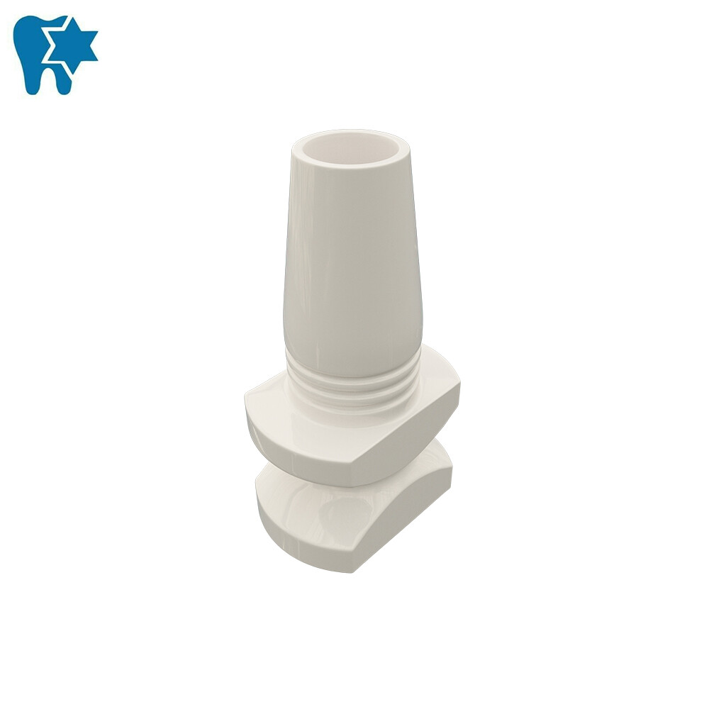 5 DSI Transfer for Compressive Bendable One-Piece Im plant Prosthetic Impression