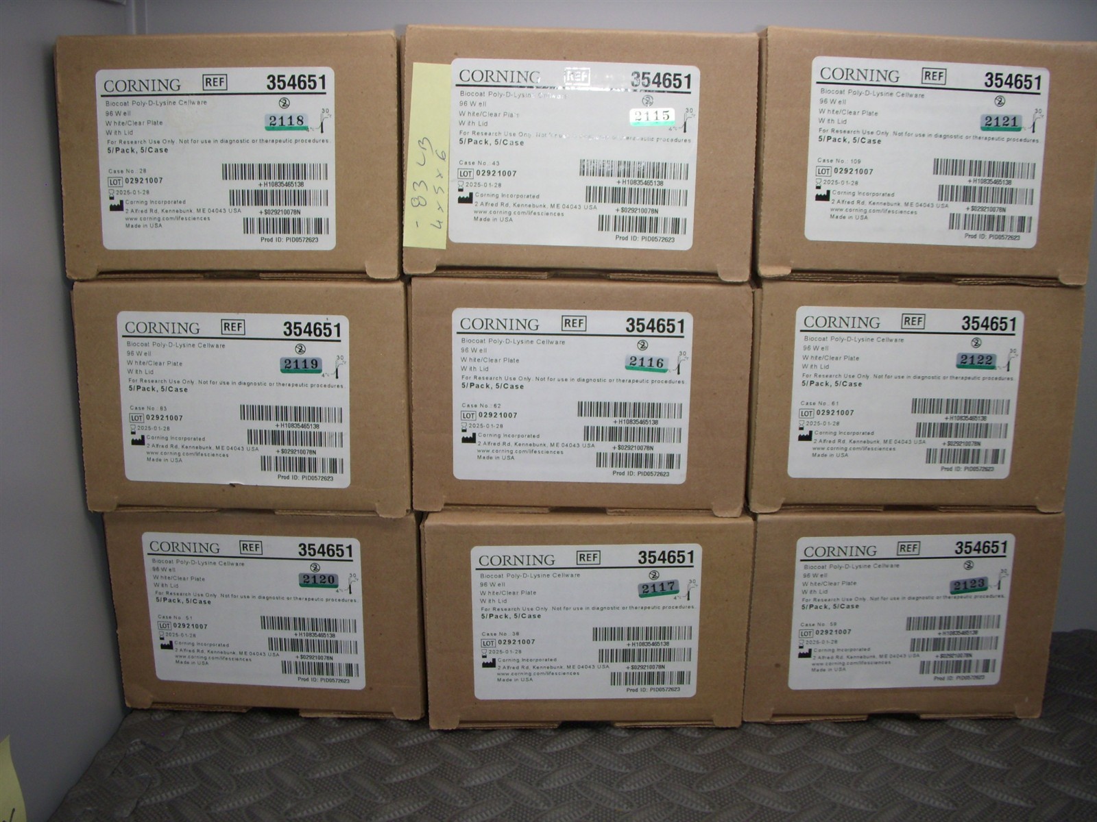 Corning 354651 BioCoat Poly-D-Lysine Cellware, 96 Well, White/Clear Plate W Lid