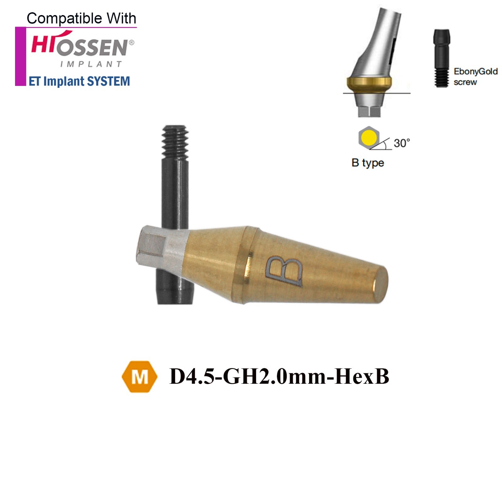 US Dental 17° Angled Anatomic Abutment Mini /Regular Fits Hiossen Osstem TS