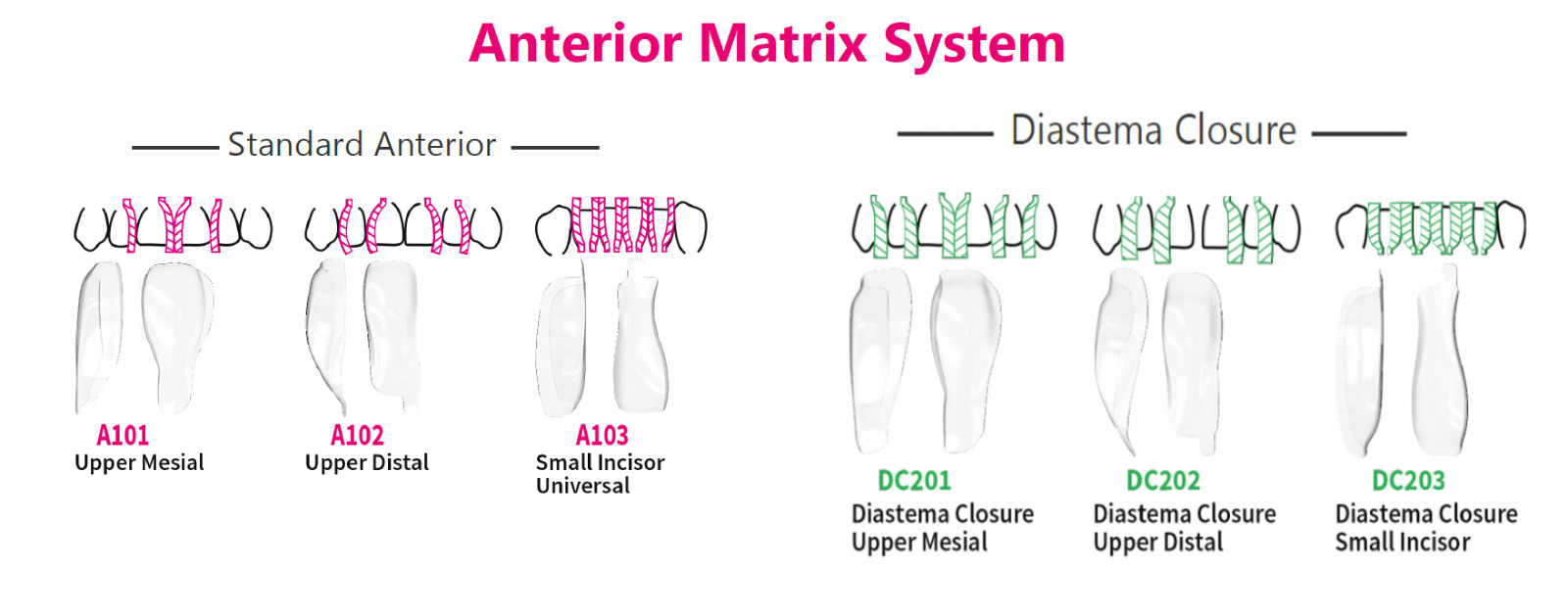 BioClear Anterior Matrix Refills Dental Material Pack Of 12pcs Fast Ship