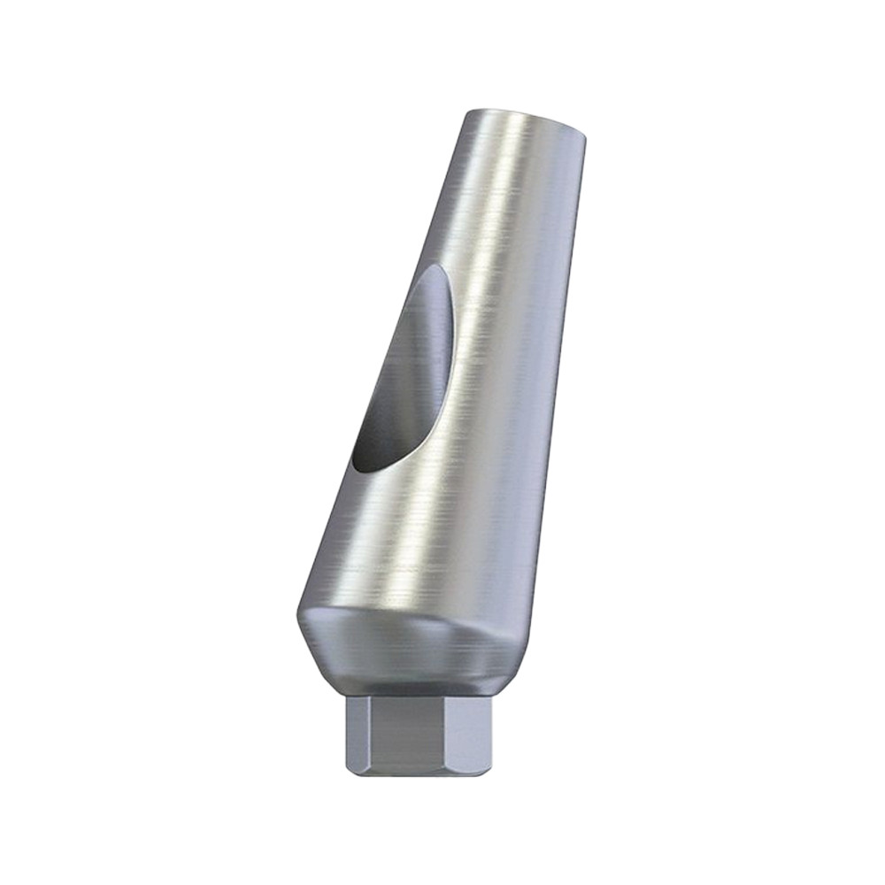 10pcs Dental Impl ant Abut ment Angulated Angular 15° / 25° Internal Hex