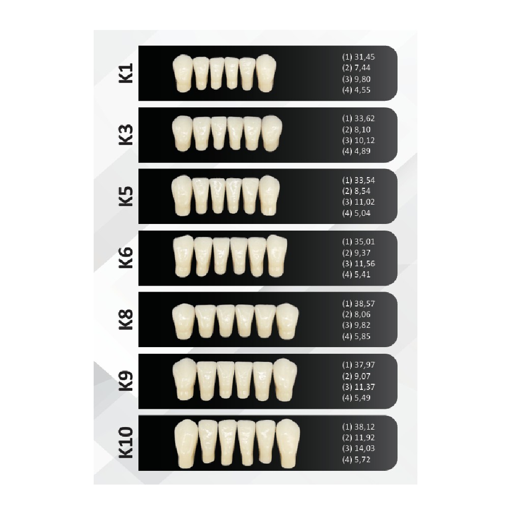 Rubydent CompacZahn Acrylic Denture Teeth A2 (Set of 28) Free Shipping