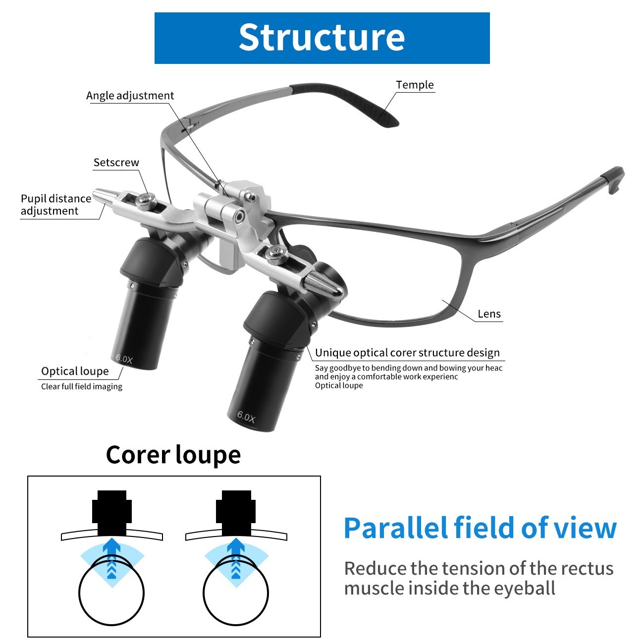 6X Magnifier Dental 48 ° Ergo Optical Loupes For Oral Surgery Prevent Bending