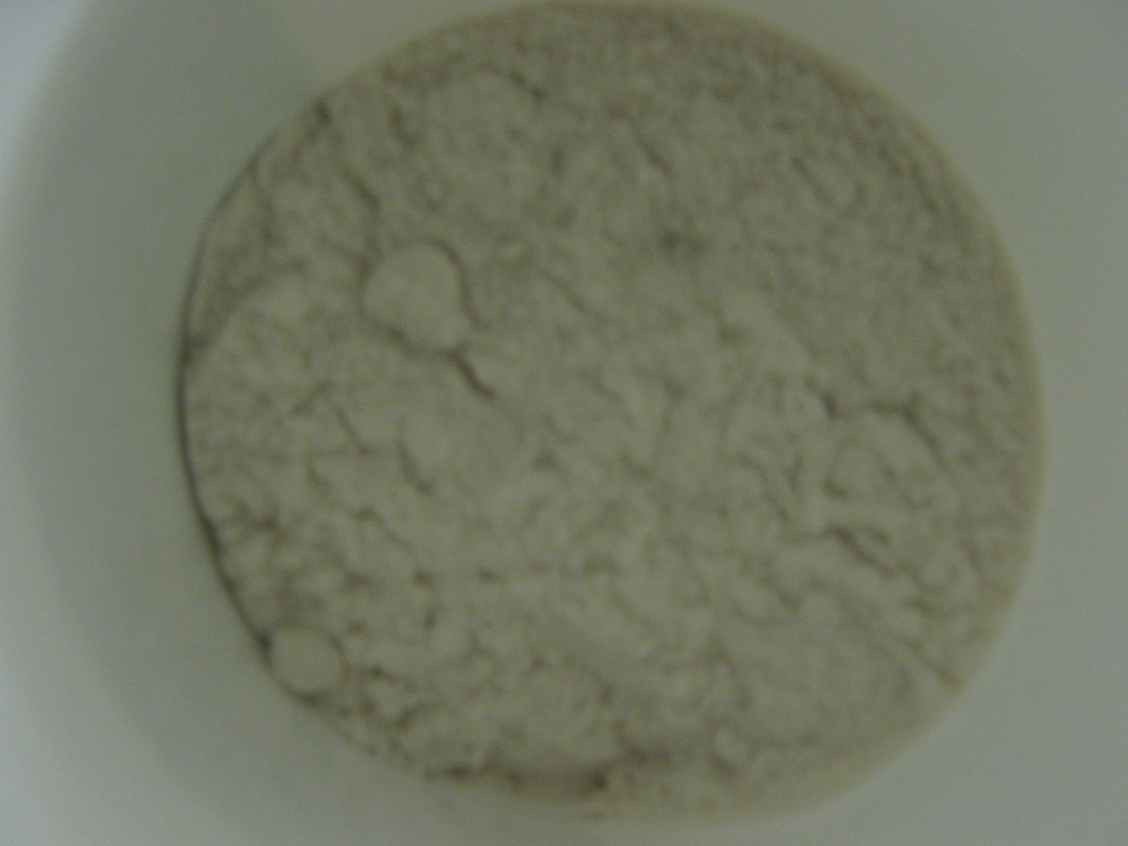 Metol – 1 Pound