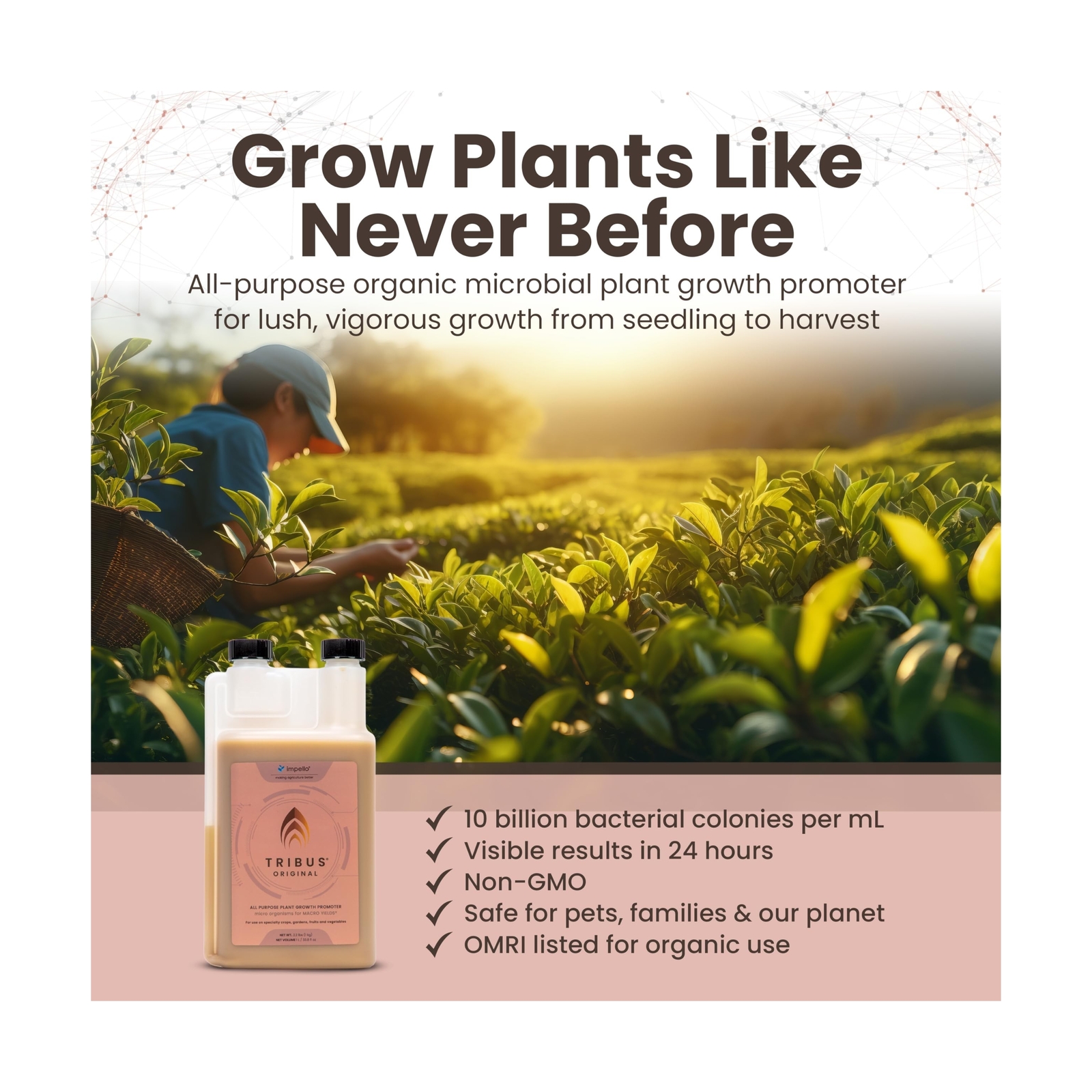 Tribus Organic Microbial Inoculant – Root Booster for Plants, Increases Pl