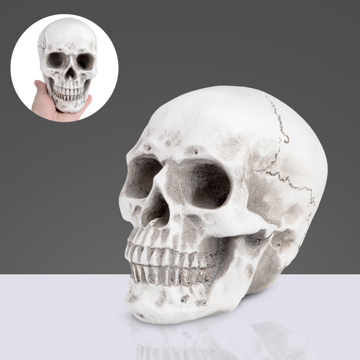 1:1 Retro Human Skull Replica Resin Anatomical Model Medical Life Size Realistic