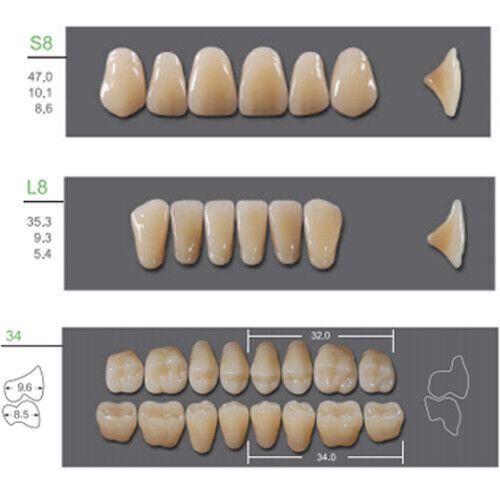 Huge Kaili Synthetic Polymer False Teeth Shade B1 Full Set: 28 teeth/set 4 sets