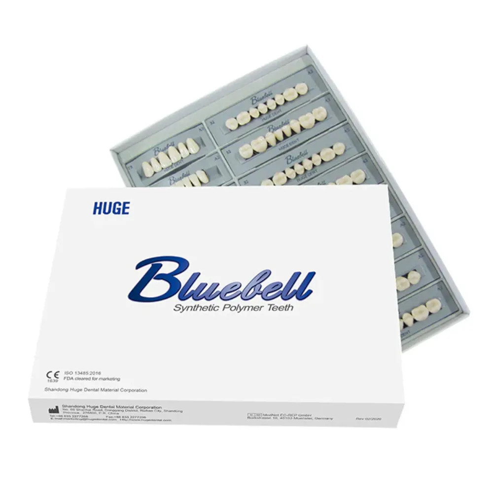 Huge Bluebell Acrylic Denture Teeth A2 (Set of 28) Versatile for complete
