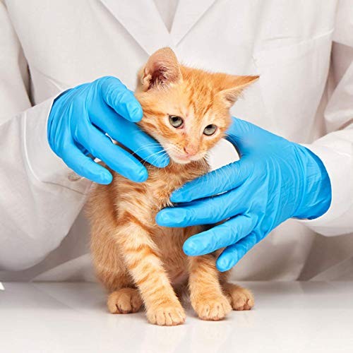 BASIC MEDICAL BLUE NITRILE EXAM GLOVES NGPF-7003 (BOX 100), LARGE – BLUE