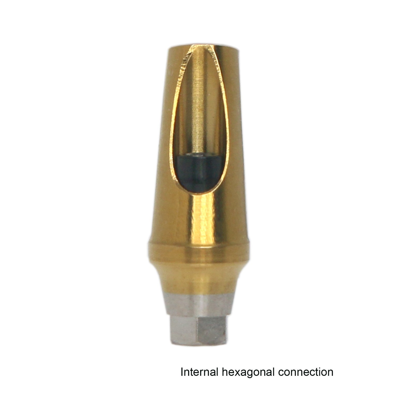 Dental Straight 17° Angulated Abutment W/Screws For DIO UF Regular Hex Platform