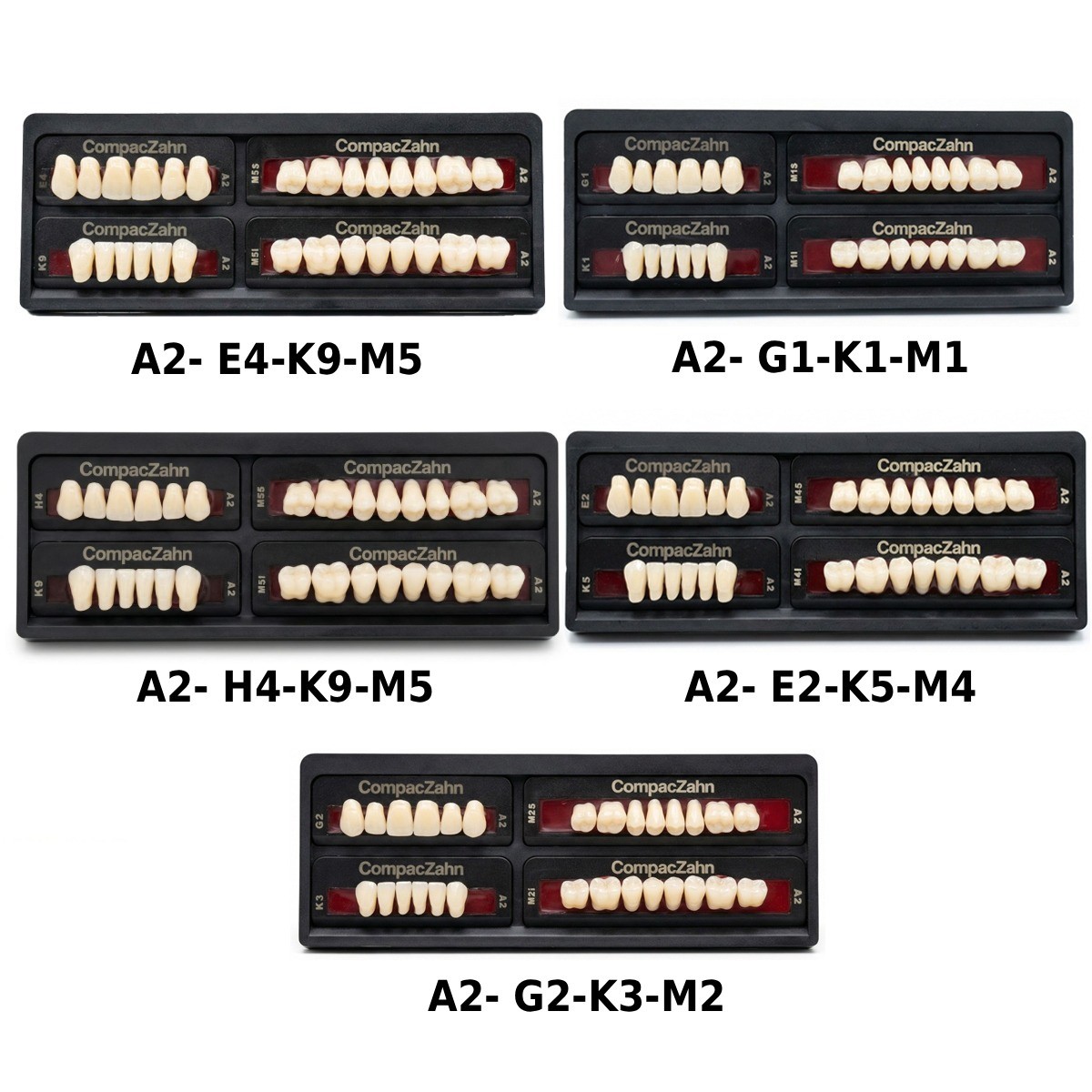 Rubydent CompacZahn Acrylic Denture Teeth A2 (Set of 28) Free Shipping