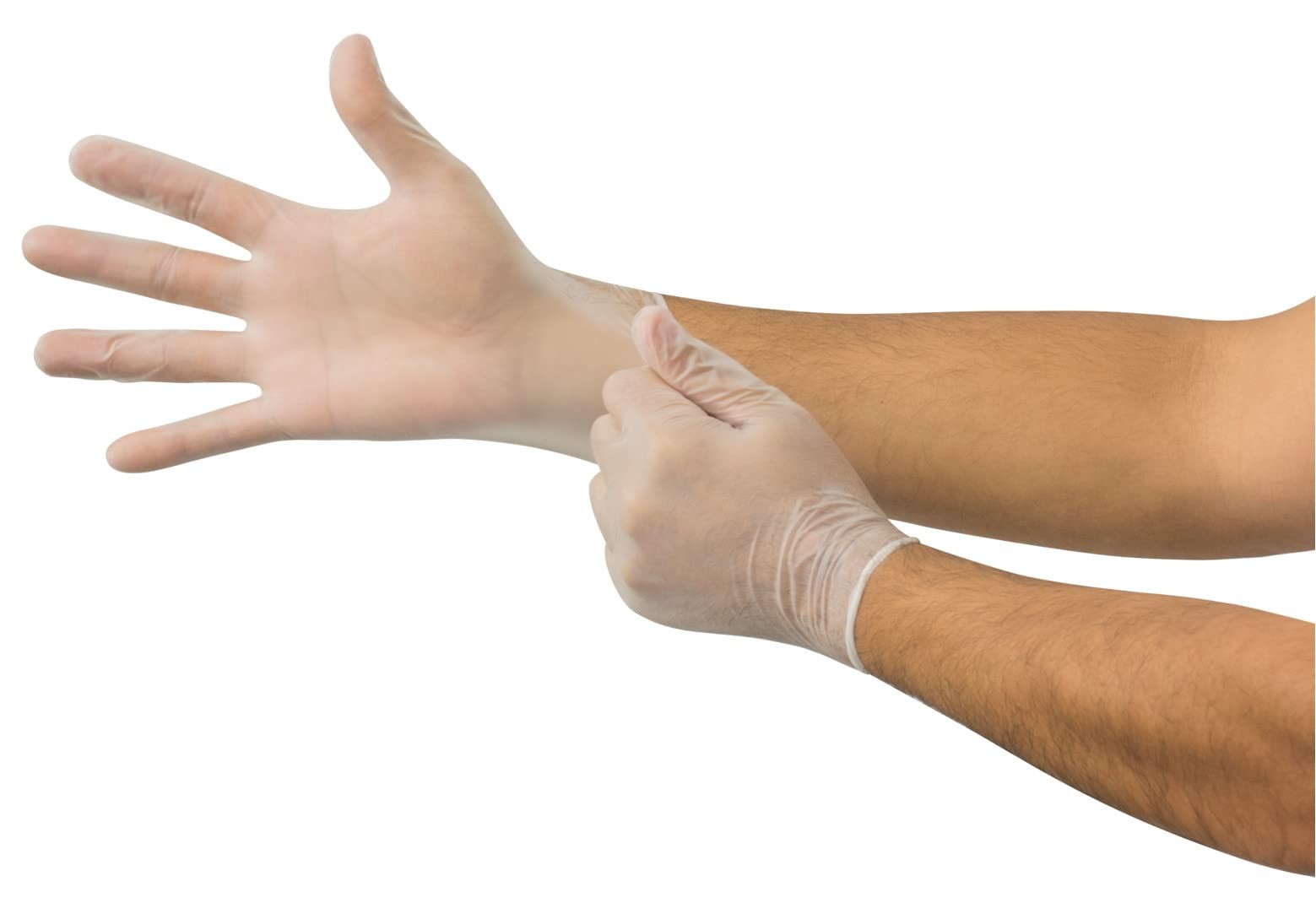 MICROFLEX Disposable V28 Powder-Free Vinyl Gloves for Food Processing, Light …