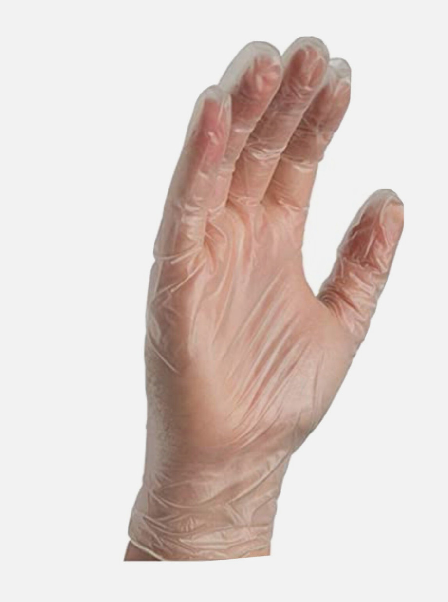 200 Exam Gloves 2 Boxes AMMEX Professional Vinyl Latex & Powder Free Size Large