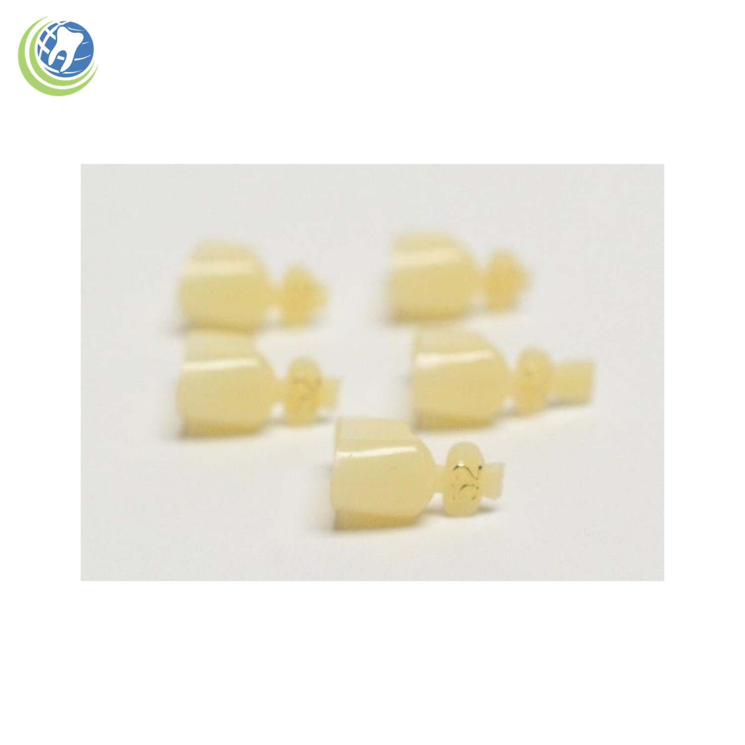 Tooth #4,13,20 or 29 Second Premolar Bicuspids Large Polycarbonate Crown Refill