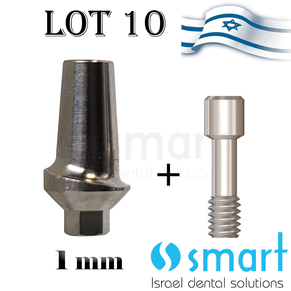 Lot X 10 Titanium Anatomic esthetic straight abutment 1 MM