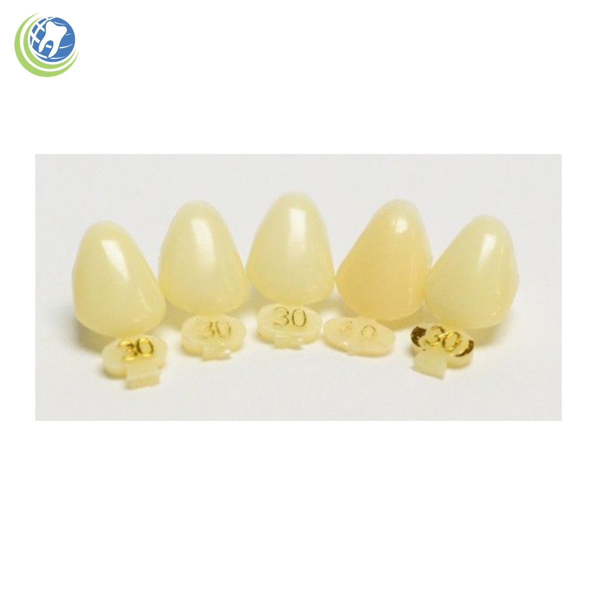 DENTAL POLYCARBONATE TEMPORARY CROWNS #30 (URC) UPPER RIGHT CUSPID 5/PACK