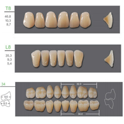Huge Kaili Synthetic Polymer False Teeth Shade B1 Full Set: 28 teeth/set 4 sets