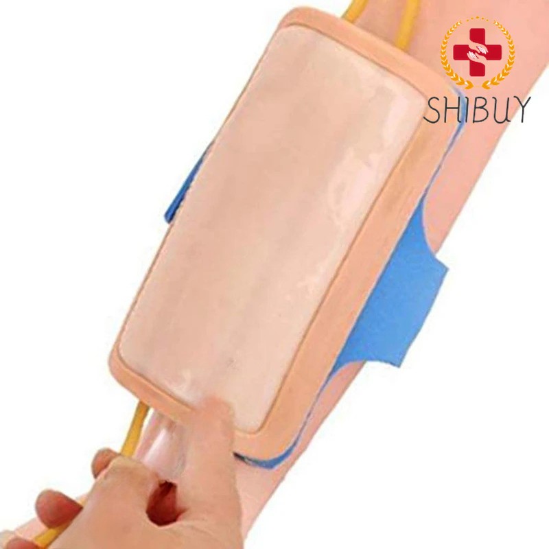 1pc Model For Practice Training Simulated Skin Vein Venipuncture Model