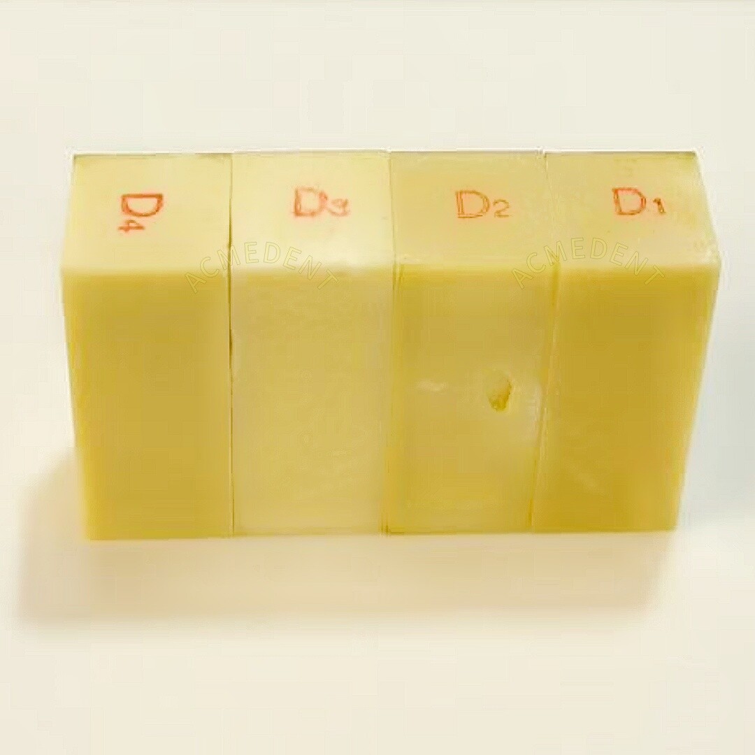 Training Dental Alveolar Jaw Bone Replica Block Implant Course Study Model OSS