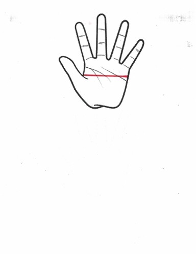 Radiation Attenuating Gloves, Pair – 0.35mm