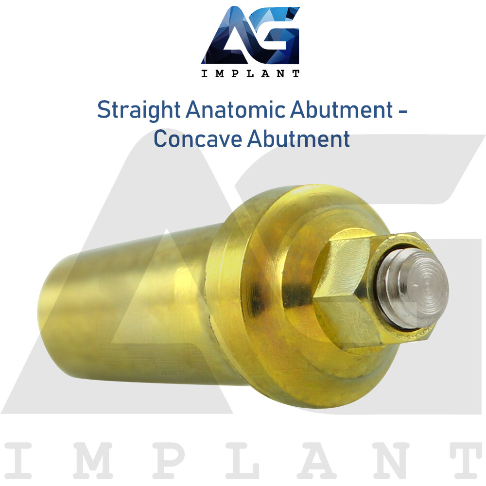 Anatomic Straight Concave Prosthetic System Titanium Int Hex 2.42 Connection