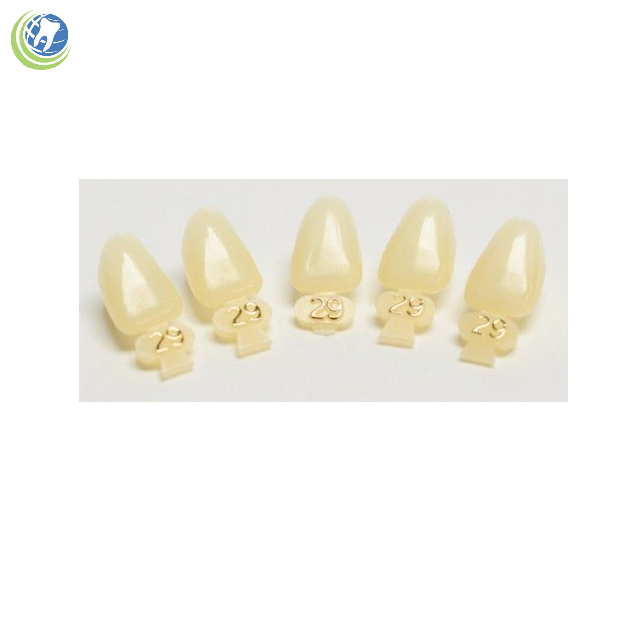 Tooth #10 Upper Left Lateral (ULL) Polycarbonate Temporary Crowns Cap Refills