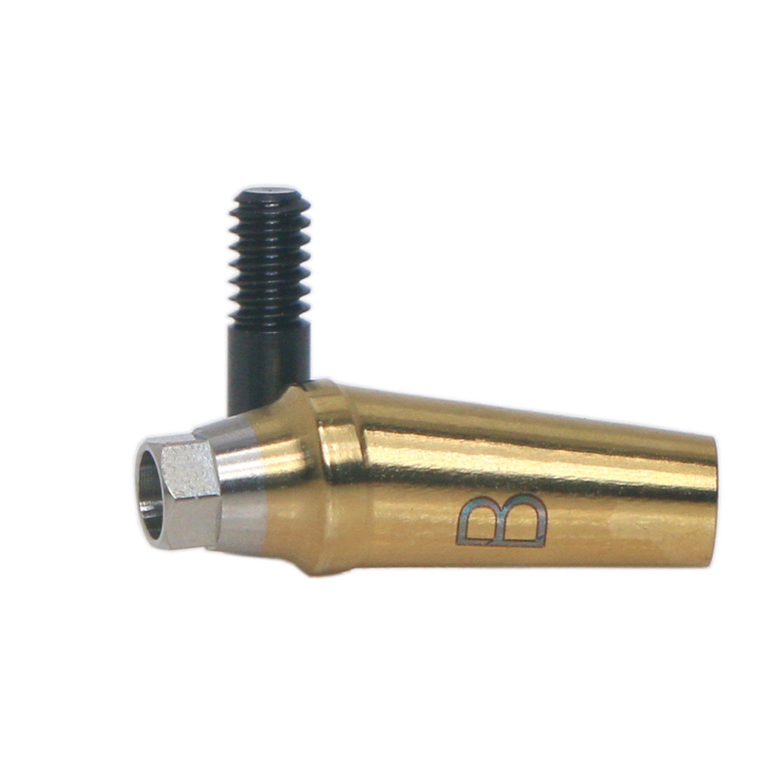 US Dental 17° Angled Anatomic Abutment Regular with Screws Fit Hiossen Osstem TS