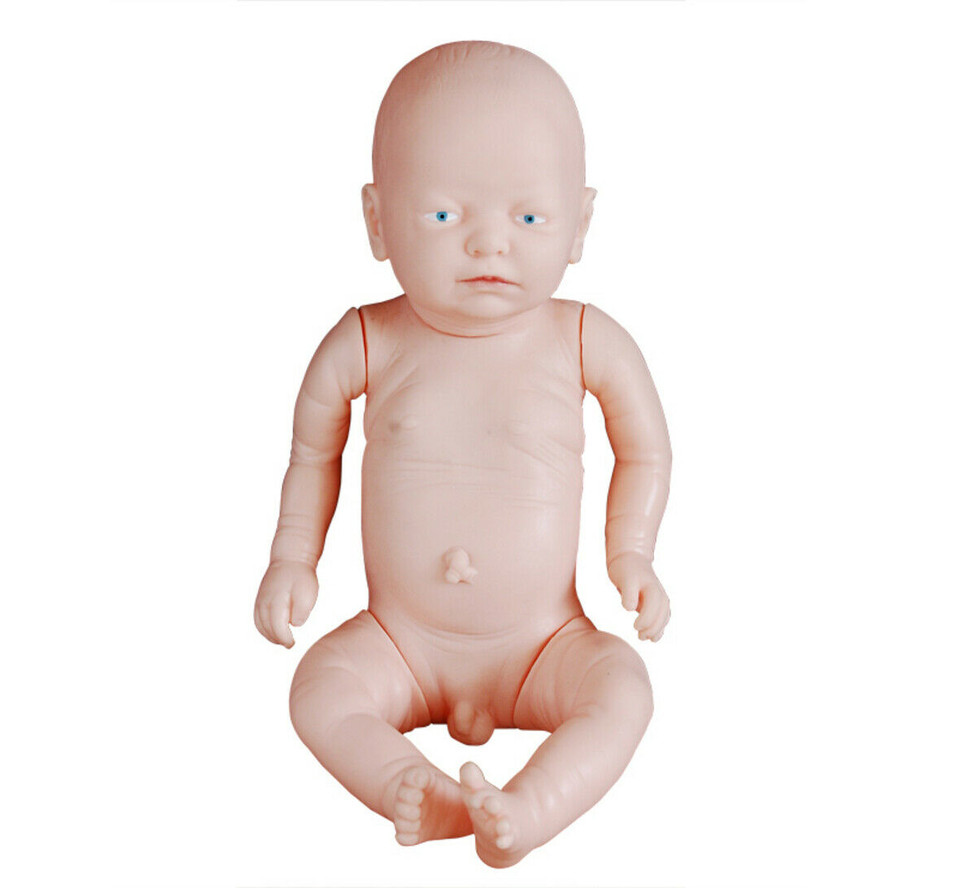 New Style Newborn Model (Baby Model) Anatomical Human Model