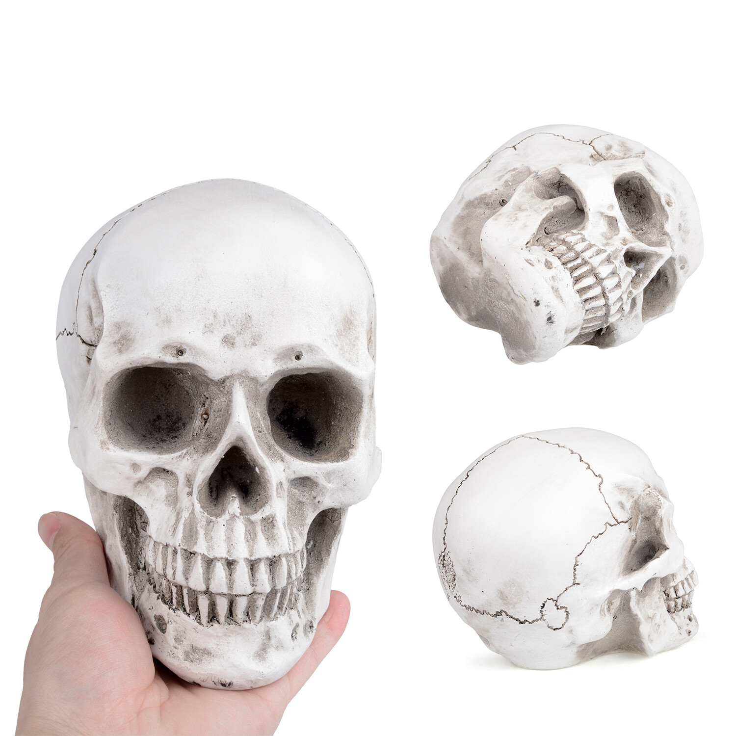 1:1 Retro Human Skull Replica Resin Anatomical Model Medical Life Size Realistic