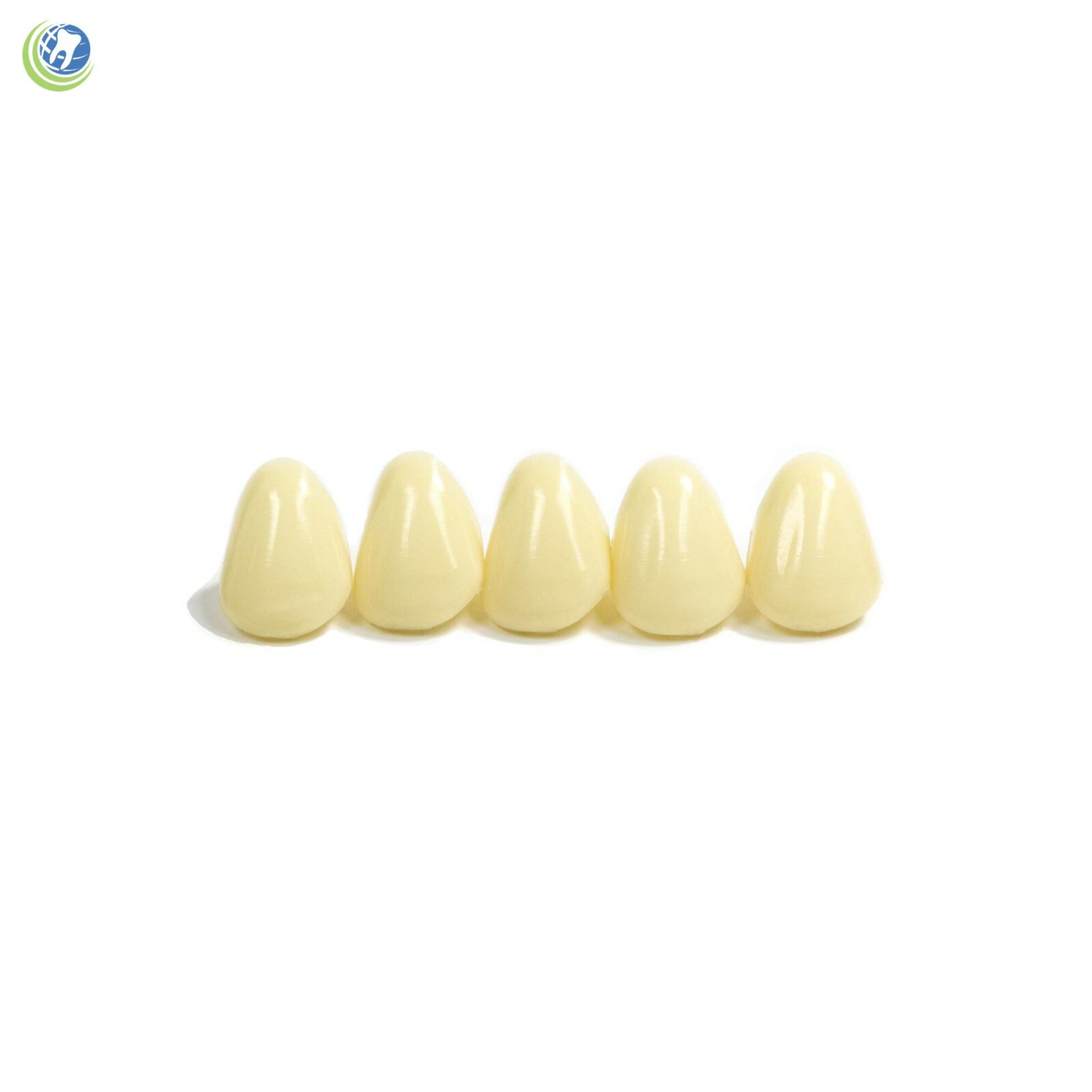 DENTAL POLYCARBONATE TEMPORARY CROWNS #21 (URL) UPPER RIGHT LATERAL 5/PACK