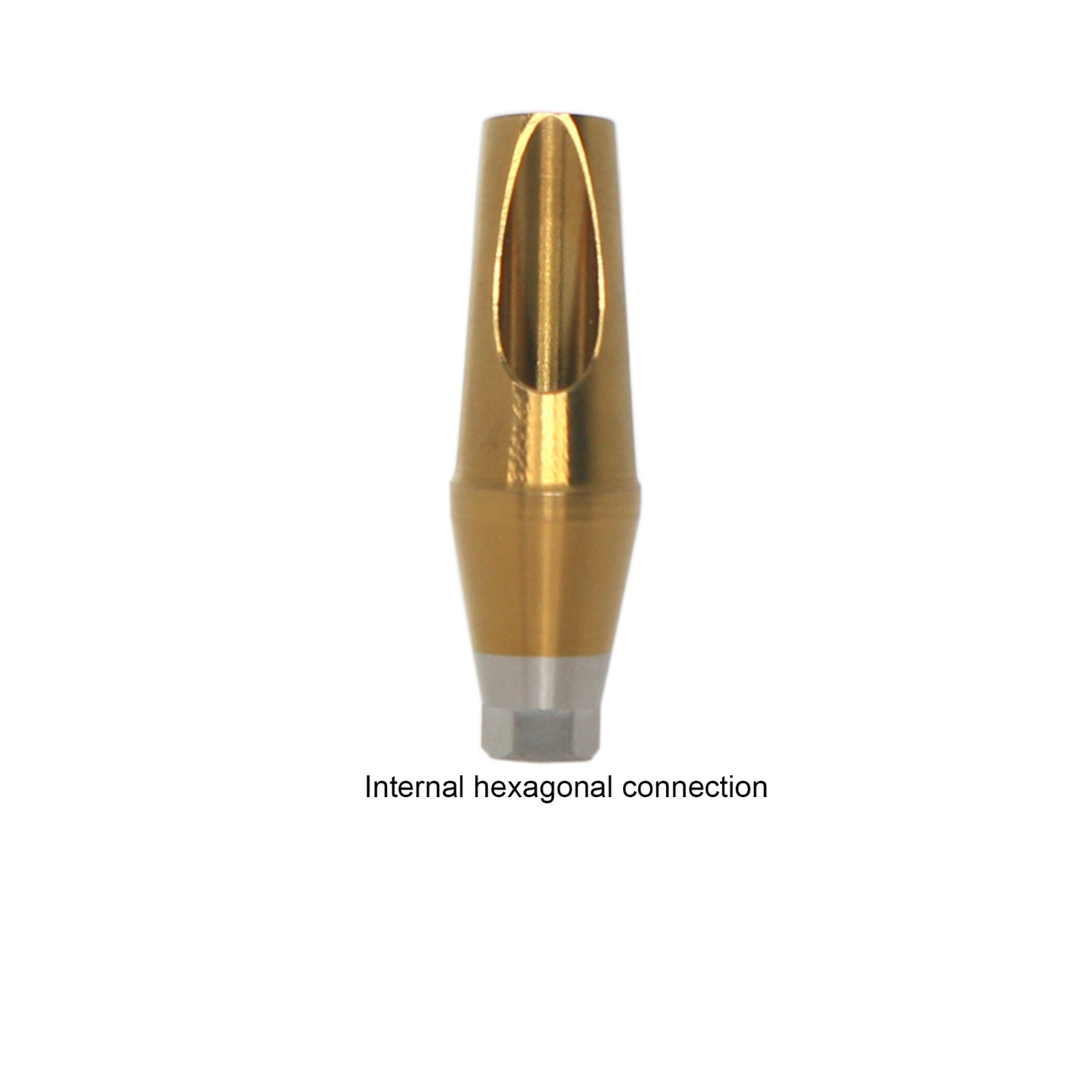 Dental Straight 17° Angulated Abutment W/Screws For DIO UF Regular Hex Platform