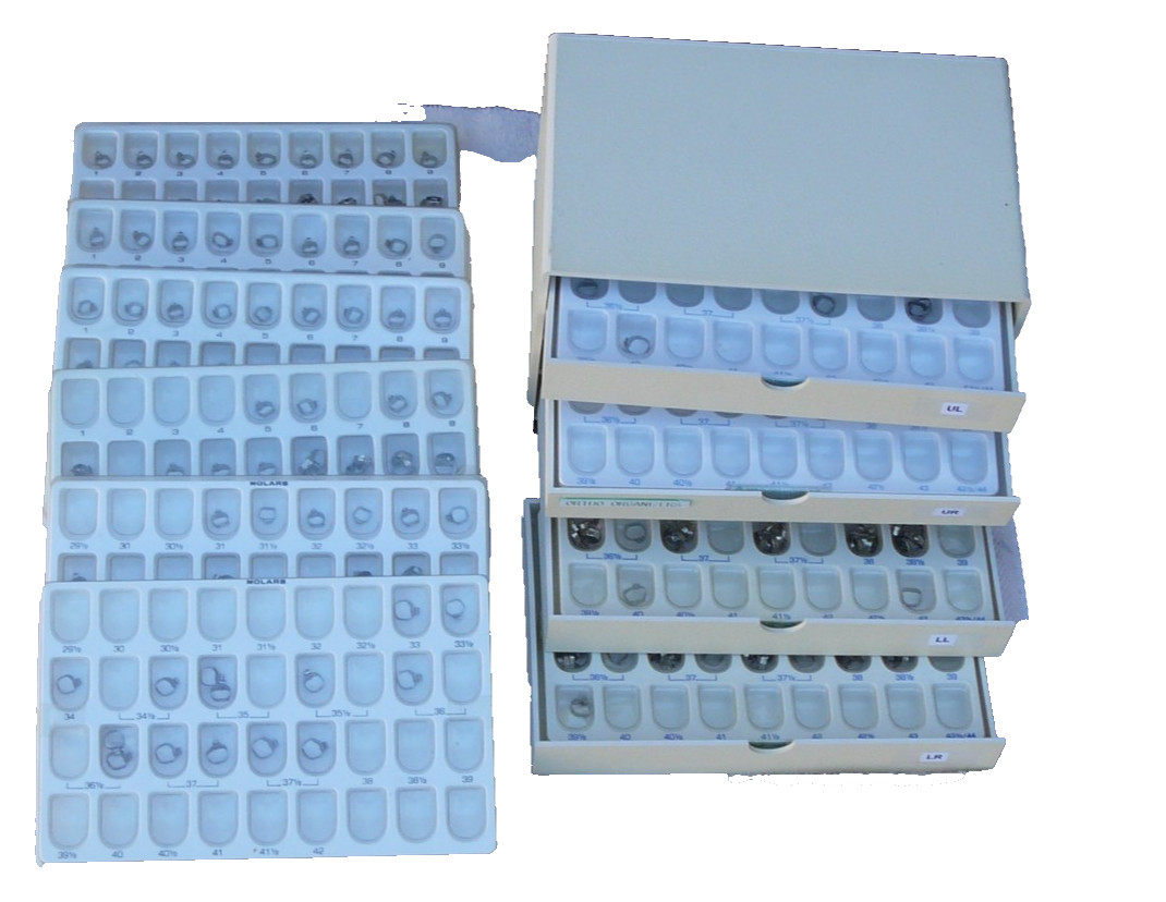 molar bands