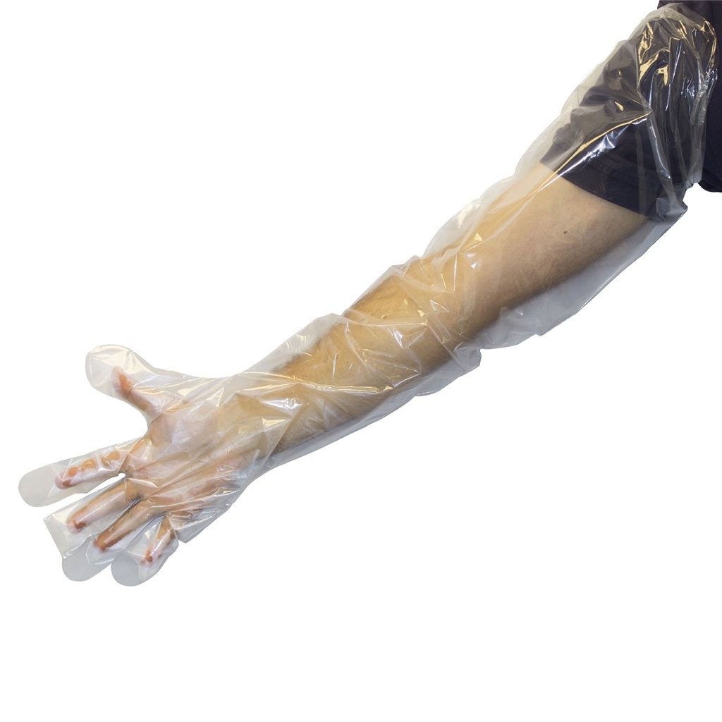 100 Pcs Food Prep Full Arm Shoulder Length Gloves Disposable