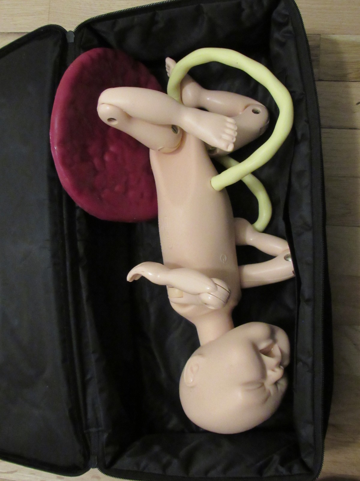 Limbs & Things PROMPT Birthing Simulator Force Monitoring Teaching Pelvis & Baby