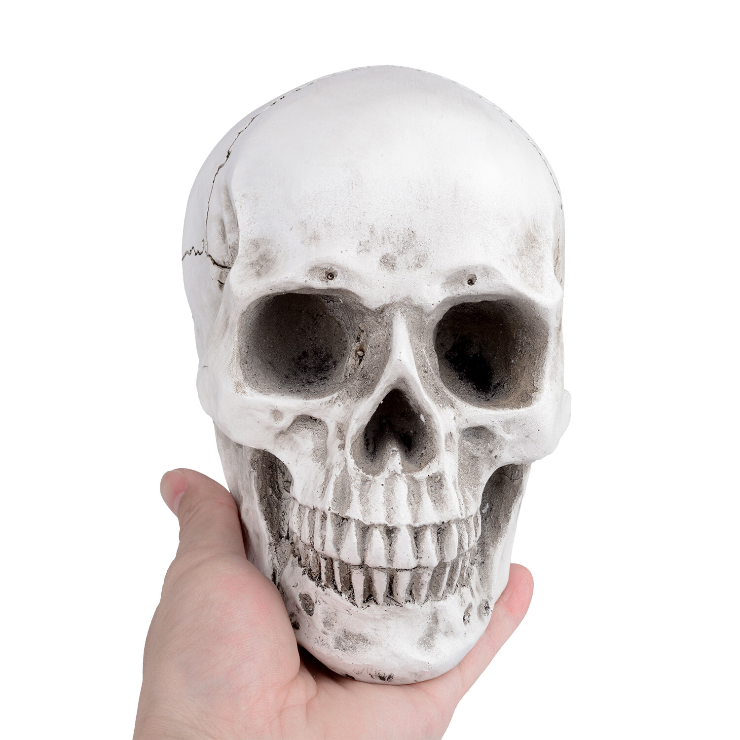 Retro Human Skull Replica Resin Anatomical Model Medical Life Size Realistic 1:1