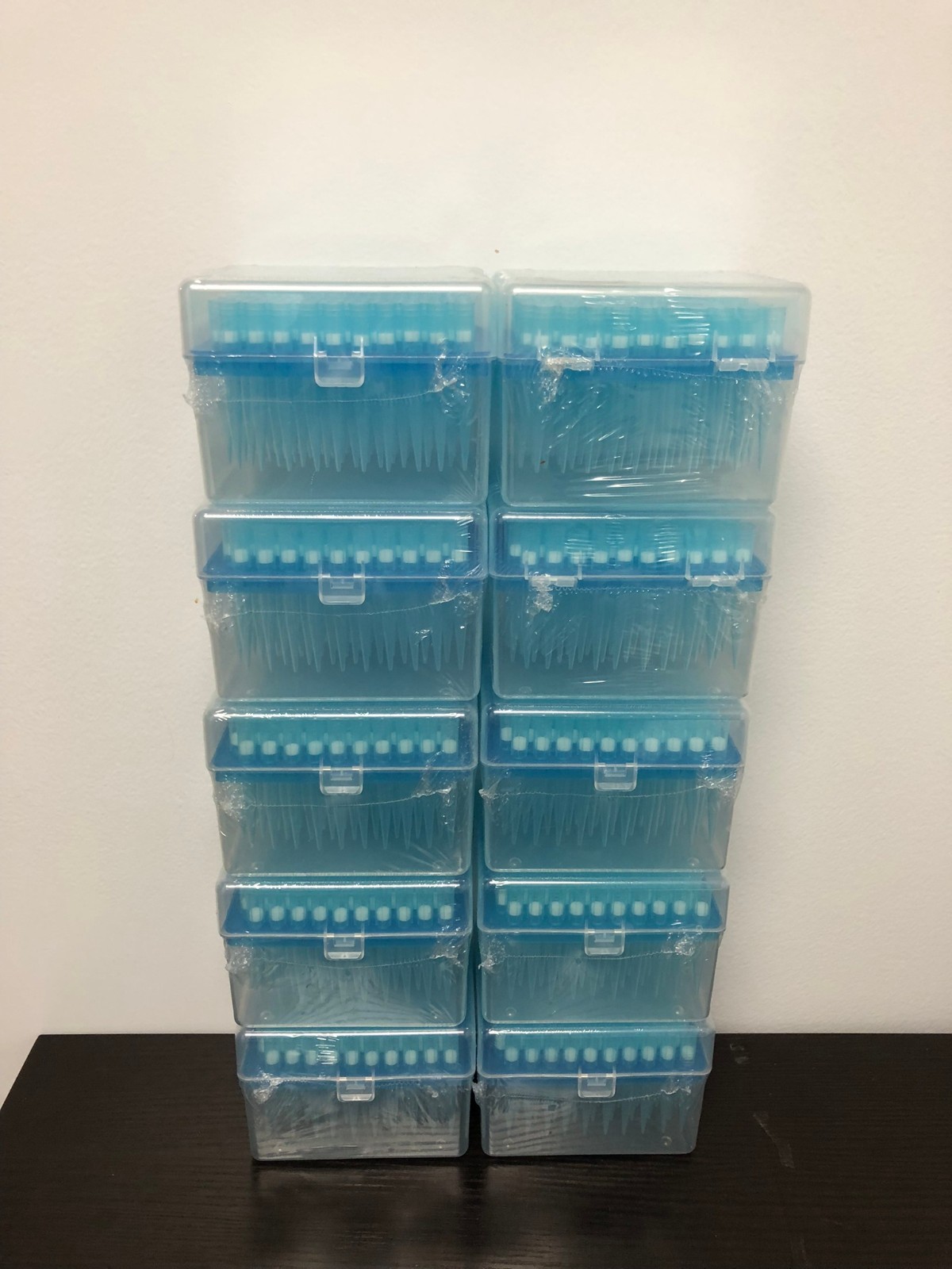 Biomiga Inc 1000uL Filter Pipette Tips PT1000UL 10 racks/pack 960tips