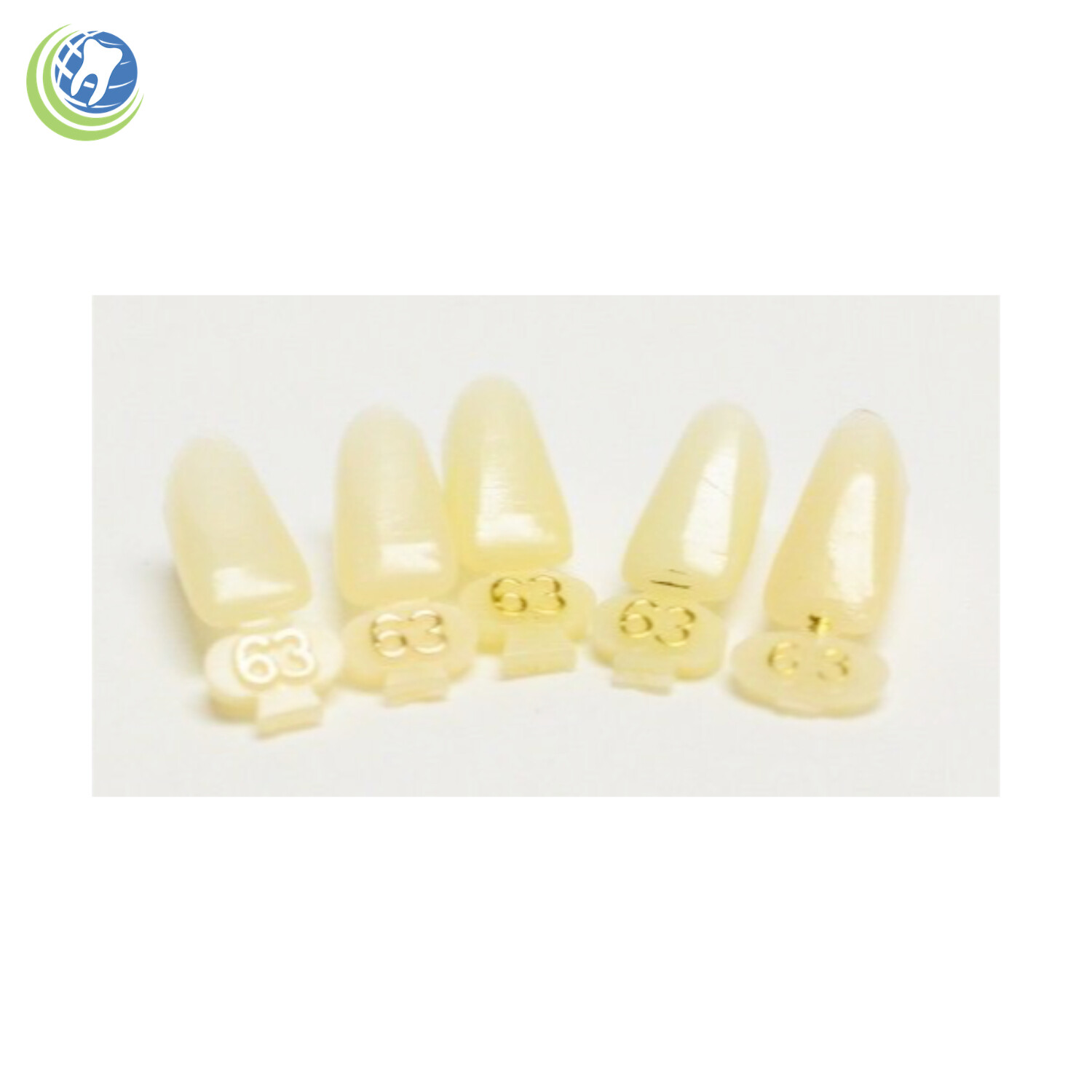 Tooth #23, 24, 25 or 26 Tooth Lower Anterior Long Polycarbonate Crown Cap Refill