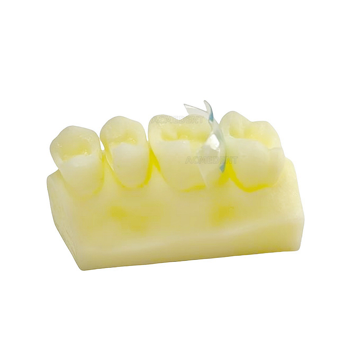10Sets Dentist Education Sectional Matrix Daily Practice Course Composite Resin