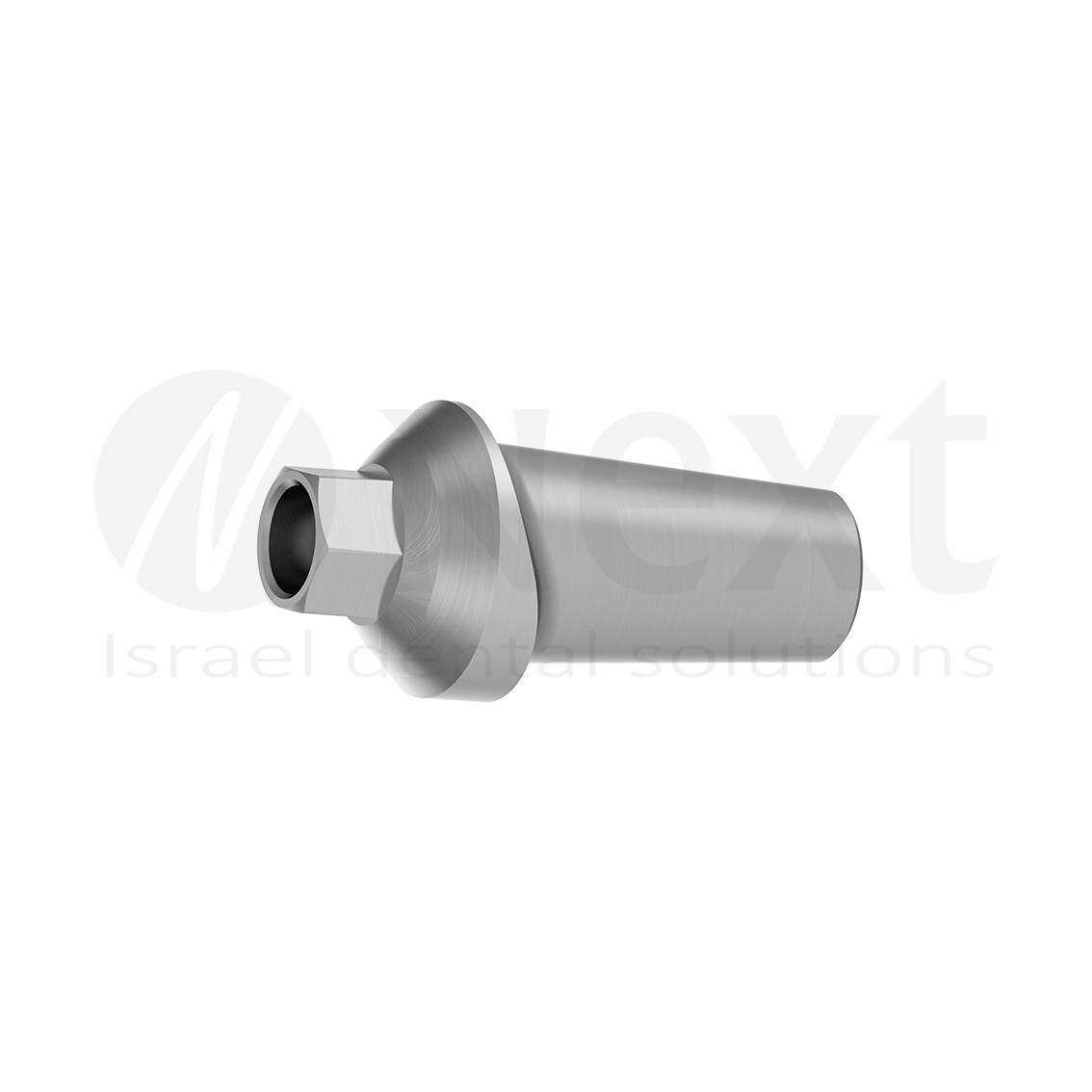 Lot X 10 Titanium Anatomic esthetic straight abutment 1 MM