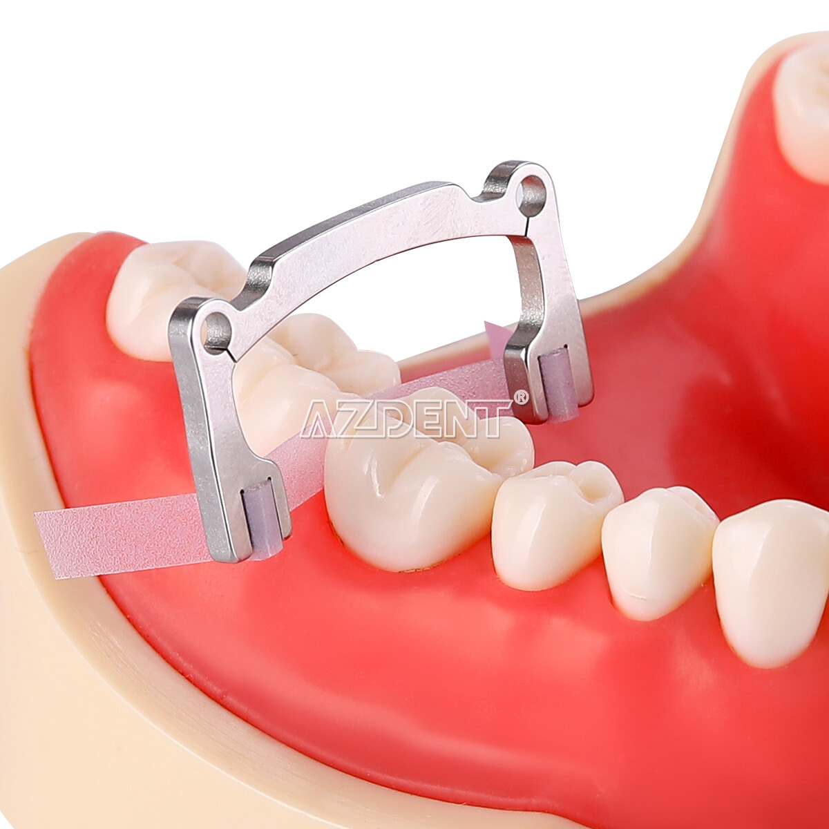 Dental Shaping Polishing Strips Tips Metal Resin Abrasive Holder Low/High Crown