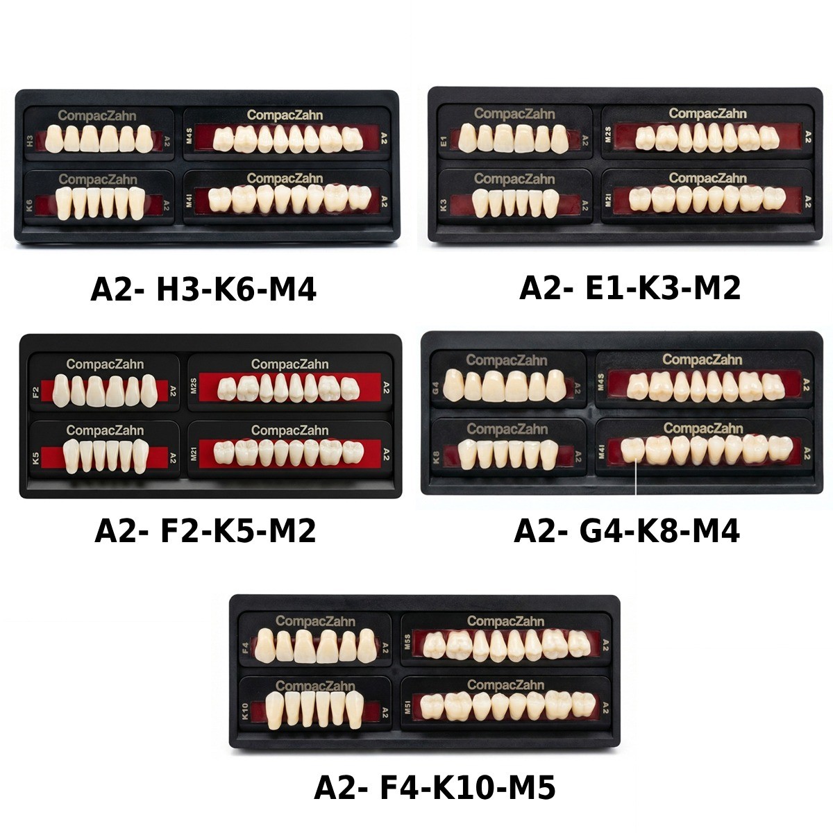 Rubydent CompacZahn Acrylic Denture Teeth A2 (Set of 28) Free Shipping
