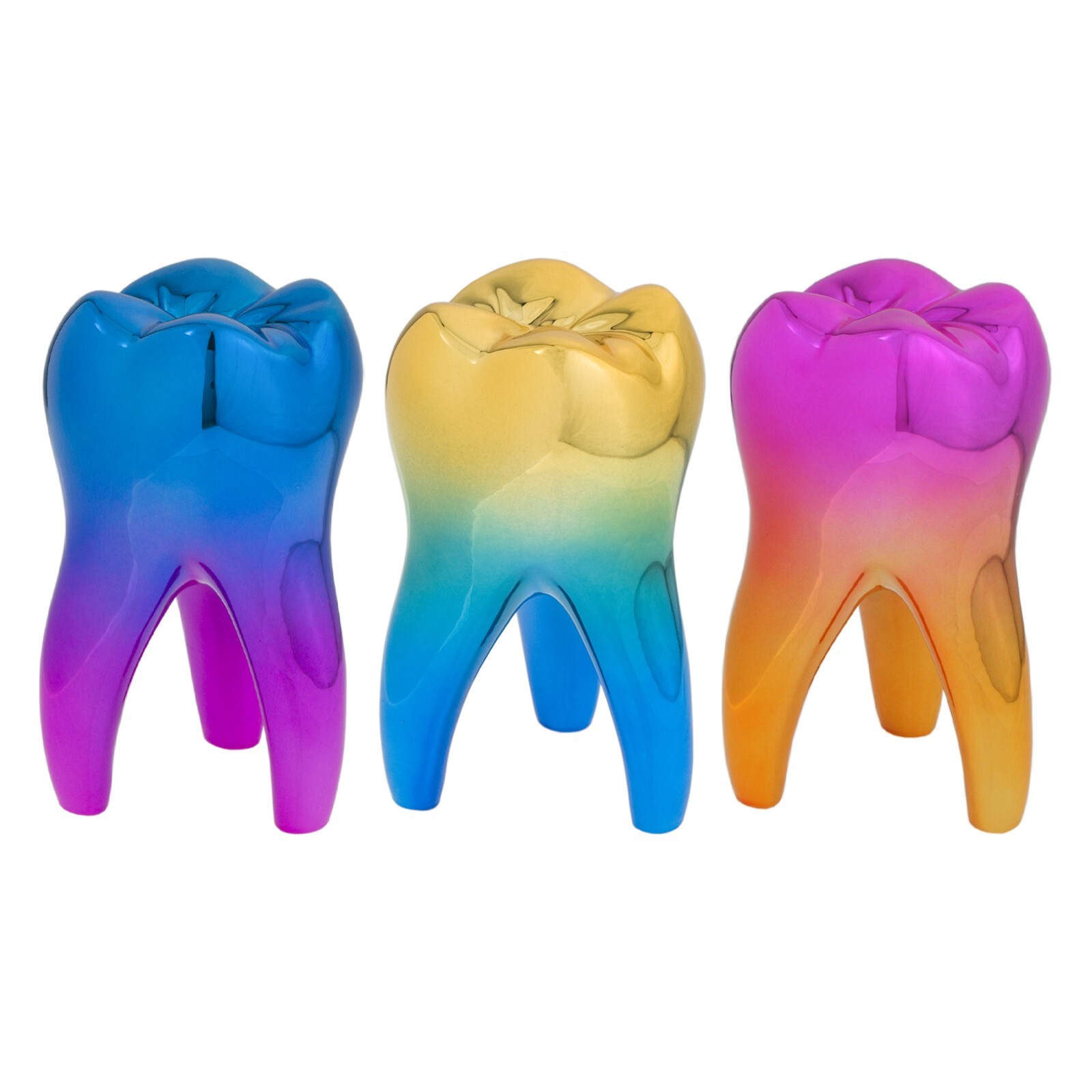 Dental Typodont & Implant Models – Educational, Pathology, Restoration Training
