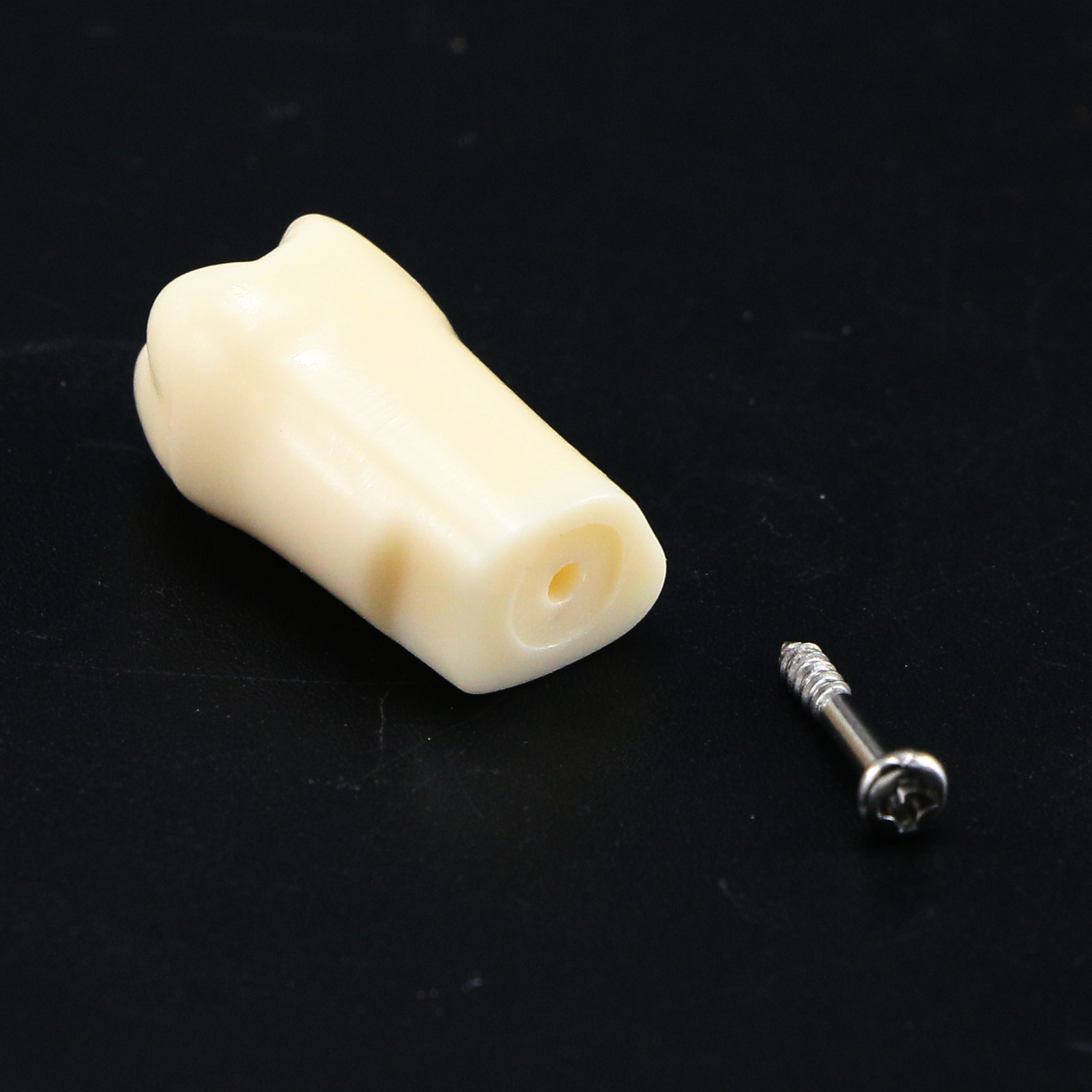 Dental Typodont Replacement Screw-in Teeth Model fits Kilgore NISSIN 200/500Type