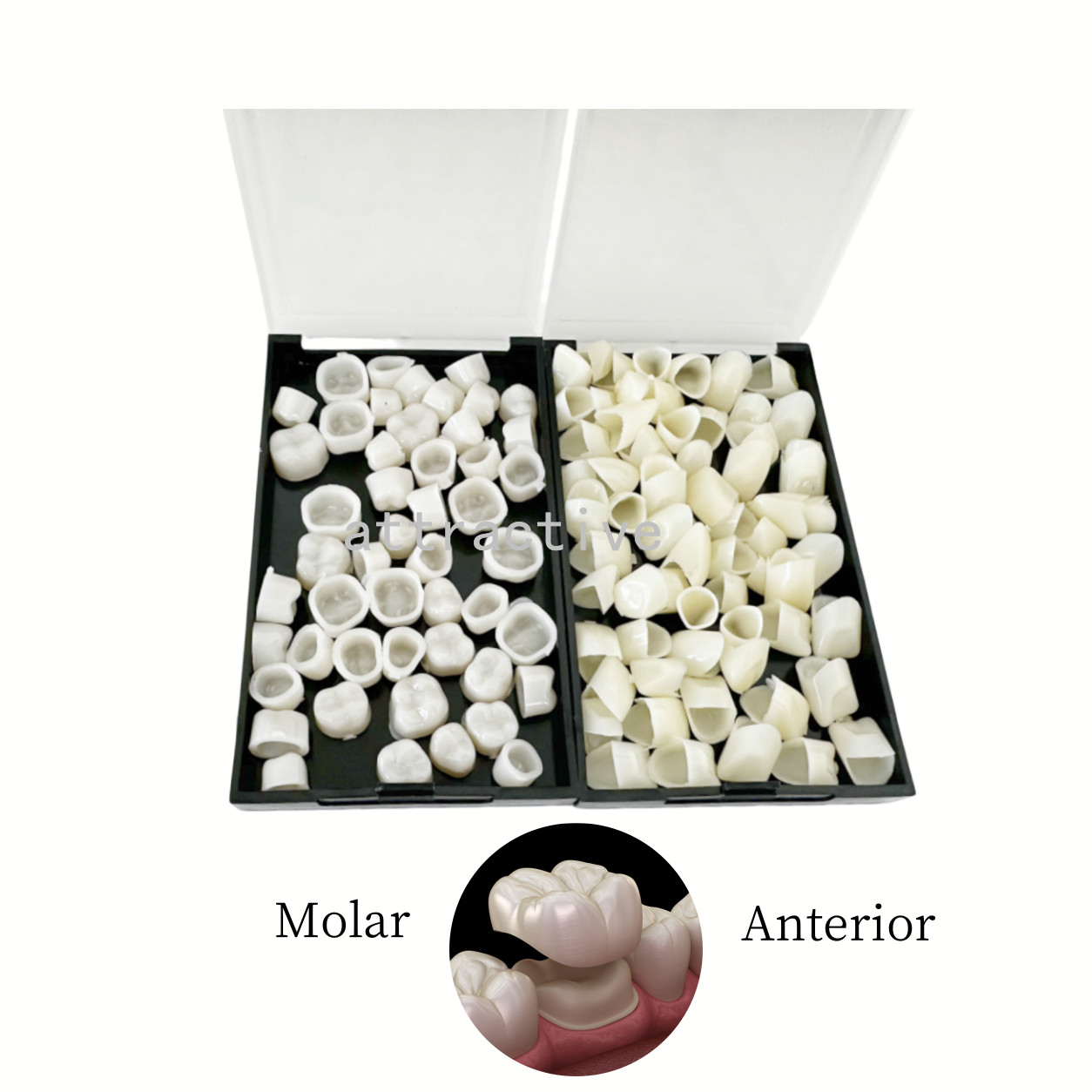 50/70Pcs Dental Temporary Teeth Crowns Resin Posteriors Anterior Molar Tooth Cap
