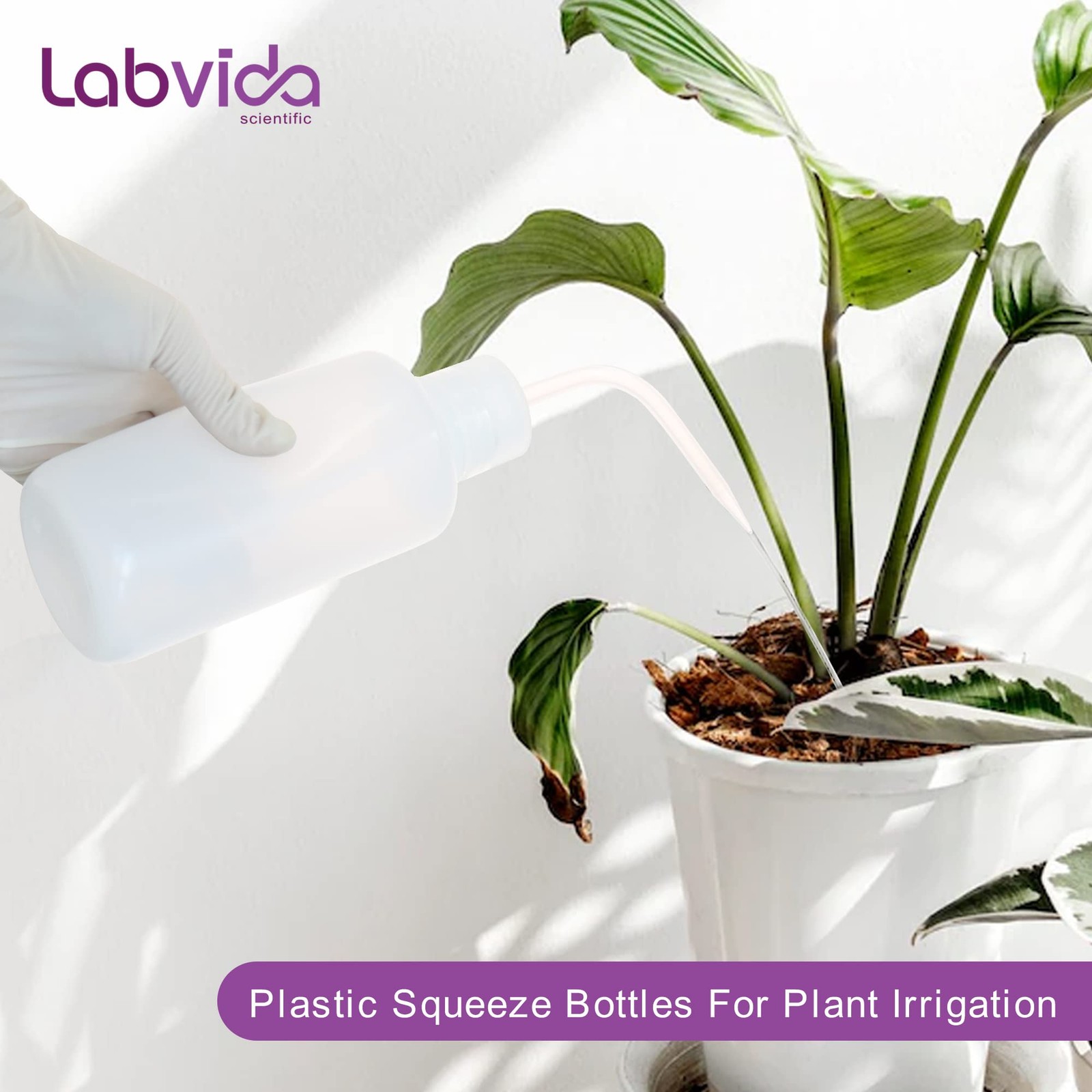 2 PCS 500ml/17OZ Thick Wall Squeeze Bottle Set for Lab Plant Watering